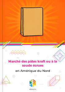 Marché des pâtes kraft ou à la soude écrues en Amérique du Nord