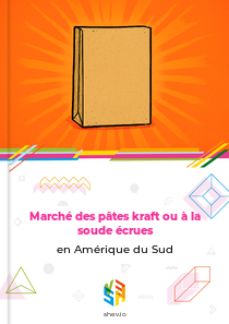 Marché des pâtes kraft ou à la soude écrues en Amérique du Sud