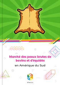 Marché des peaux brutes de bovins et d'équidés en Amérique du Sud