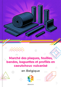 Marché des plaques, feuilles, bandes, baguettes et profilés en caoutchouc vulcanisé en Belgique