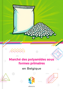 Marché des polyamides sous formes primaires en Belgique