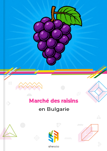 Marché des raisins en Bulgarie