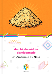 Marché des résidus d'amidonnerie en Amérique du Nord