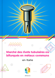 Marché des rivets tubulaires ou bifurqués en métaux communs en Italie