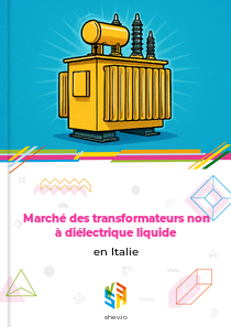 Marché des transformateurs non à diélectrique liquide en Italie