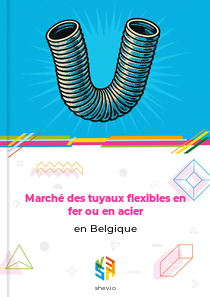 Marché des tuyaux flexibles en fer ou en acier en Belgique