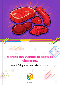 Marché des viandes et abats de chameaux en Afrique subsaharienne