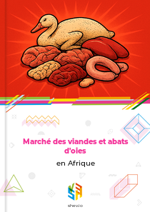 Marché des viandes et abats d'oies en Afrique