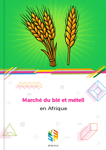 Marché du blé et méteil en Afrique