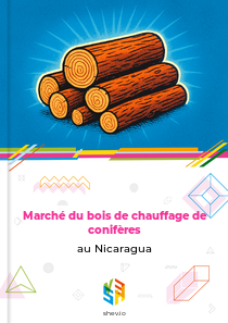 Marché du bois de chauffage de conifères au Nicaragua