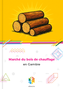 Marché du bois de chauffage en Gambie