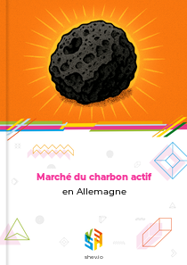 Marché du charbon actif en Allemagne
