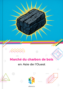 Marché du charbon de bois en Asie de l'Ouest