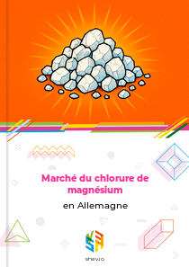Marché du chlorure de magnésium en Allemagne