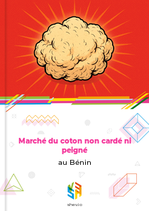 Marché du coton non cardé ni peigné au Bénin