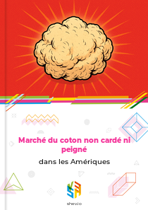 Marché du coton non cardé ni peigné dans les Amériques