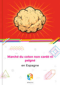 Marché du coton non cardé ni peigné en Espagne