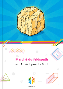 Marché du feldspath en Amérique du Sud
