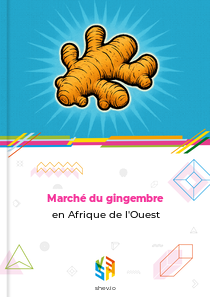 Marché du gingembre en Afrique de l'Ouest