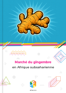 Marché du gingembre en Afrique subsaharienne
