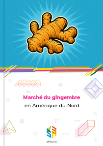 Marché du gingembre en Amérique du Nord