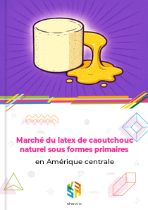 Marché du latex de caoutchouc naturel sous formes primaires en Amérique centrale