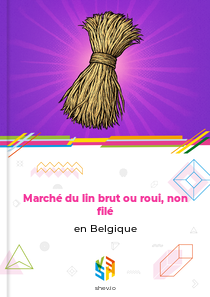 Marché du lin brut ou roui, non filé en Belgique