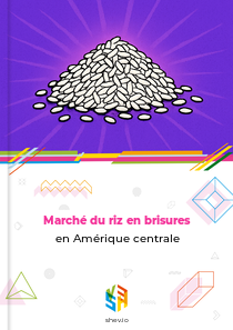 Marché du riz en brisures en Amérique centrale