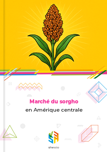 Marché du sorgho en Amérique centrale