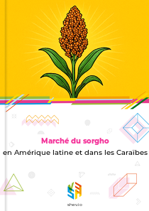 Marché du sorgho en Amérique latine et dans les Caraïbes