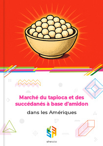 Marché du tapioca et des succédanés à base d'amidon dans les Amériques