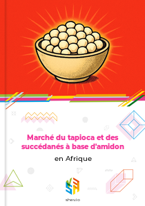 Marché du tapioca et des succédanés à base d'amidon en Afrique