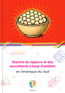 Marché du tapioca et des succédanés à base d'amidon en Amérique du Sud