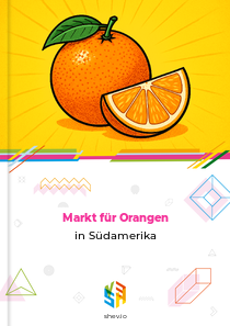 Markt für Orangen in Südamerika