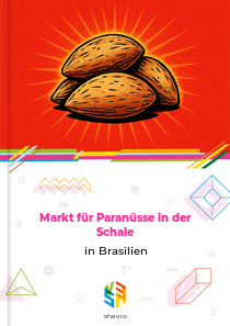 Markt für Paranüsse in der Schale in Brasilien