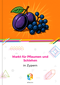 Markt für Pflaumen und Schlehen in Zypern