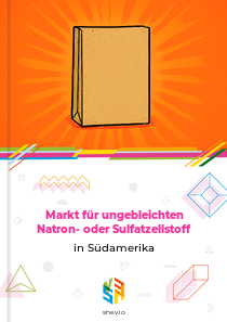 Markt für ungebleichten Natron- oder Sulfatzellstoff in Südamerika