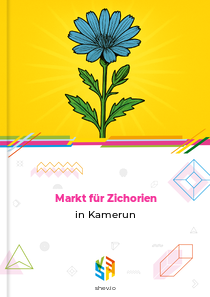 Markt für Zichorien in Kamerun