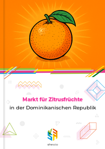 Markt für Zitrusfrüchte in der Dominikanischen Republik