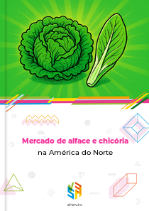 Mercado de alface e chicória na América do Norte
