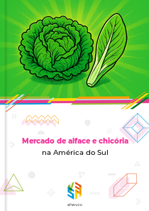 Mercado de alface e chicória na América do Sul