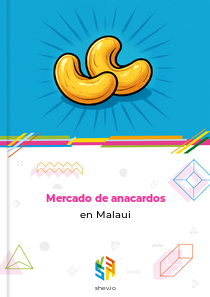 Mercado de anacardos en Malaui