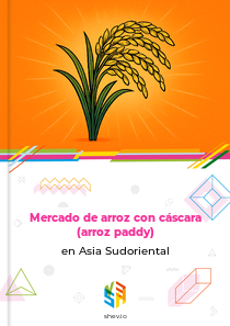 Mercado de arroz con cáscara (arroz paddy) en Asia Sudoriental