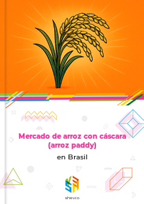 Mercado de arroz con cáscara (arroz paddy) en Brasil