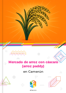Mercado de arroz con cáscara (arroz paddy) en Camerún