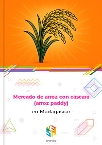 Mercado de arroz con cáscara (arroz paddy) en Madagascar