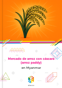 Mercado de arroz con cáscara (arroz paddy) en Myanmar