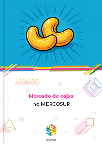 Mercado de cajus no MERCOSUR
