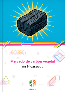 Mercado de carbón vegetal en Nicaragua