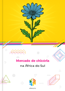 Mercado de chicória na África do Sul